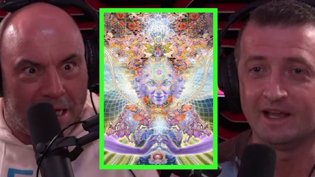 ⁣⁣Joe Rogan They are Mapping the DMT Realm