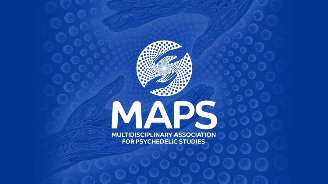 ⁣⁣MAPS Psychedelic Research Presentation at 2011 Womens Visionary Congress