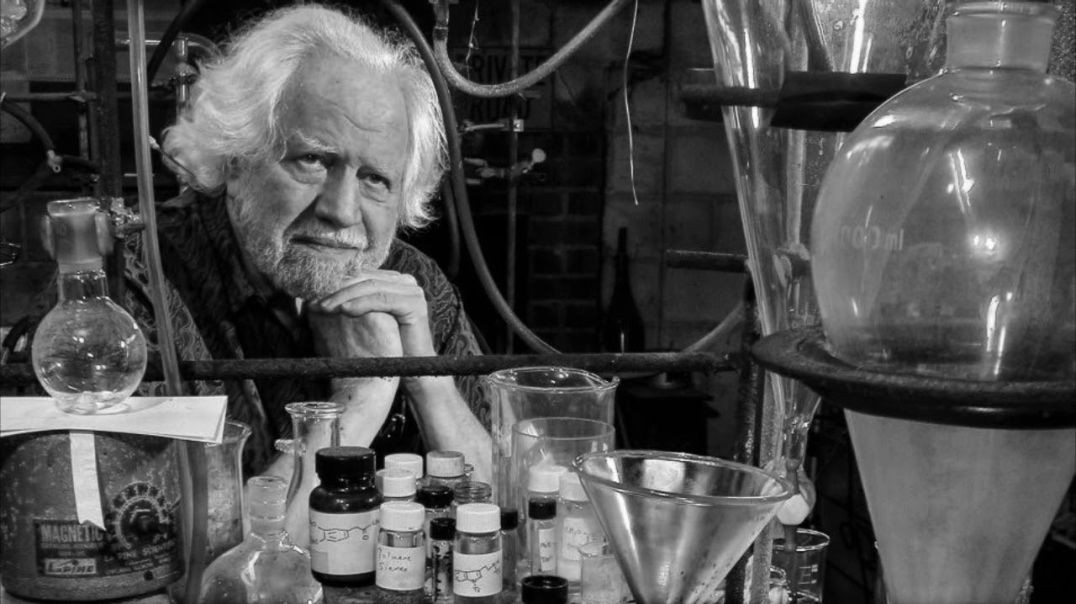 ⁣Sasha Shulgin - Natural vs. Synthetic Psychedelic Compounds