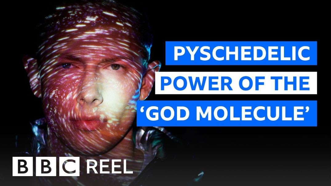 ⁣The mind-altering effects of the God molecule banned in the US - BBC REEL