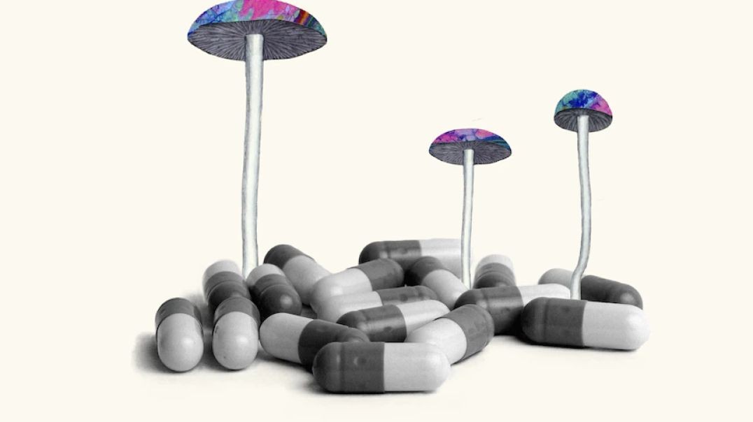 ⁣The ‘hype and hope’ of psychedelic medicines exposed _ Four Corners