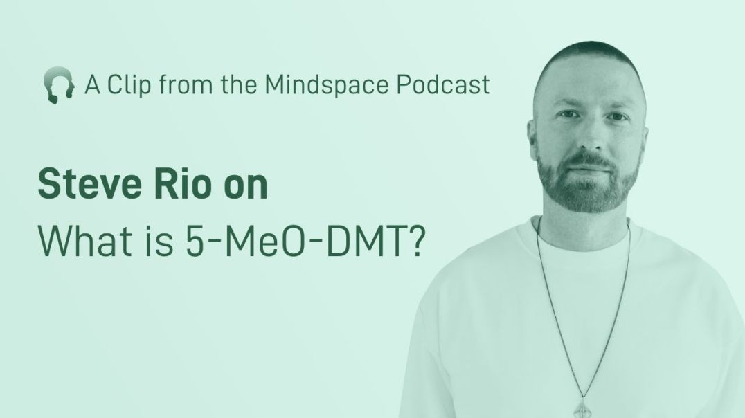 ⁣Steve Rio on What 5 MeO-DMT is _ A Mindspace Podcast Clip