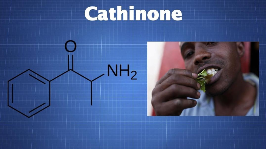 ⁣Cathinone_ What You Need To Know