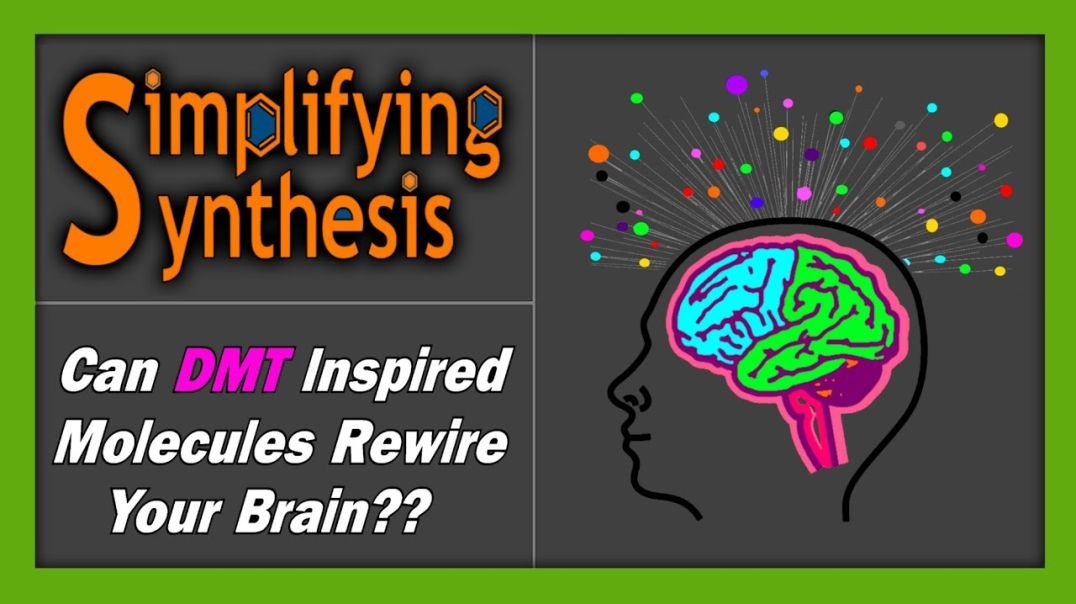 ⁣Can DMT Inspired Molecules Rewire Your Brain_