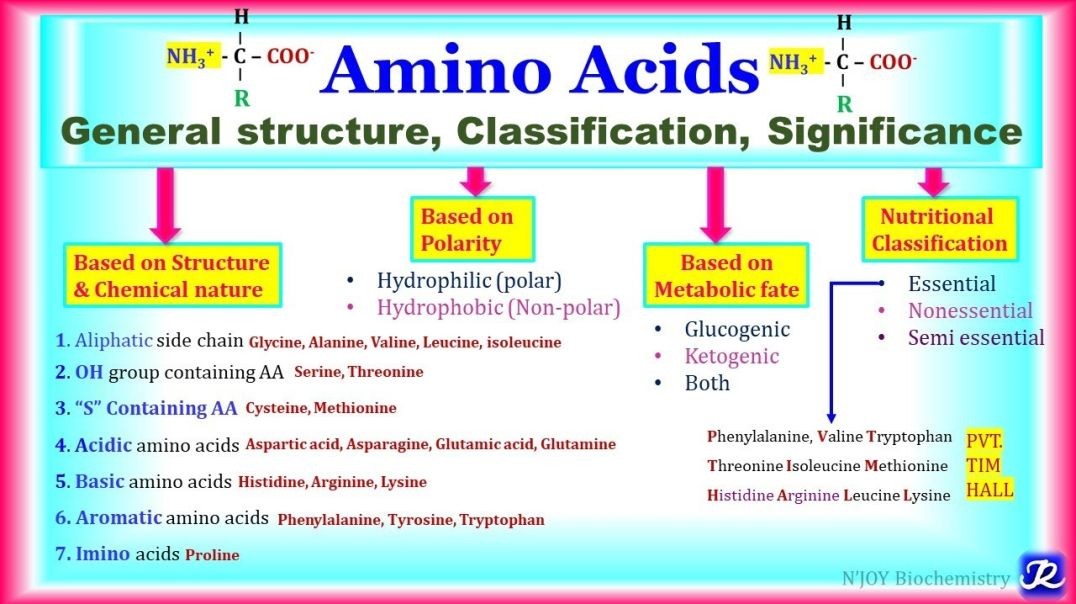 ⁣1_ Amino Acids _ General structure, Classification, Significance _ Amino acid Chemistry-1_ Biochem